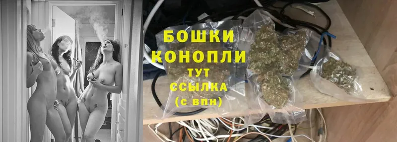 Бошки Шишки SATIVA & INDICA  Калтан 